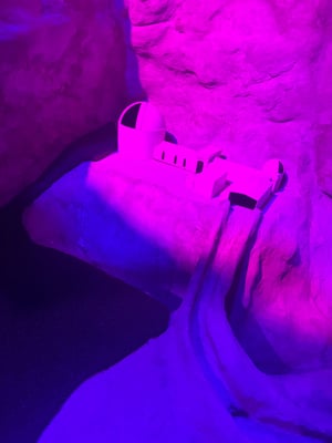 IMG_1854